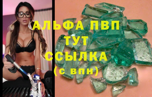 стаф Алексин