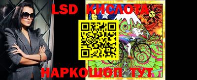 шишки Усть-Илимск