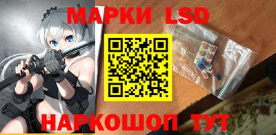 шишки Усть-Илимск