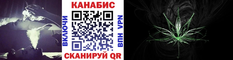 где купить   Киреевск  Шишки марихуана Amnesia 